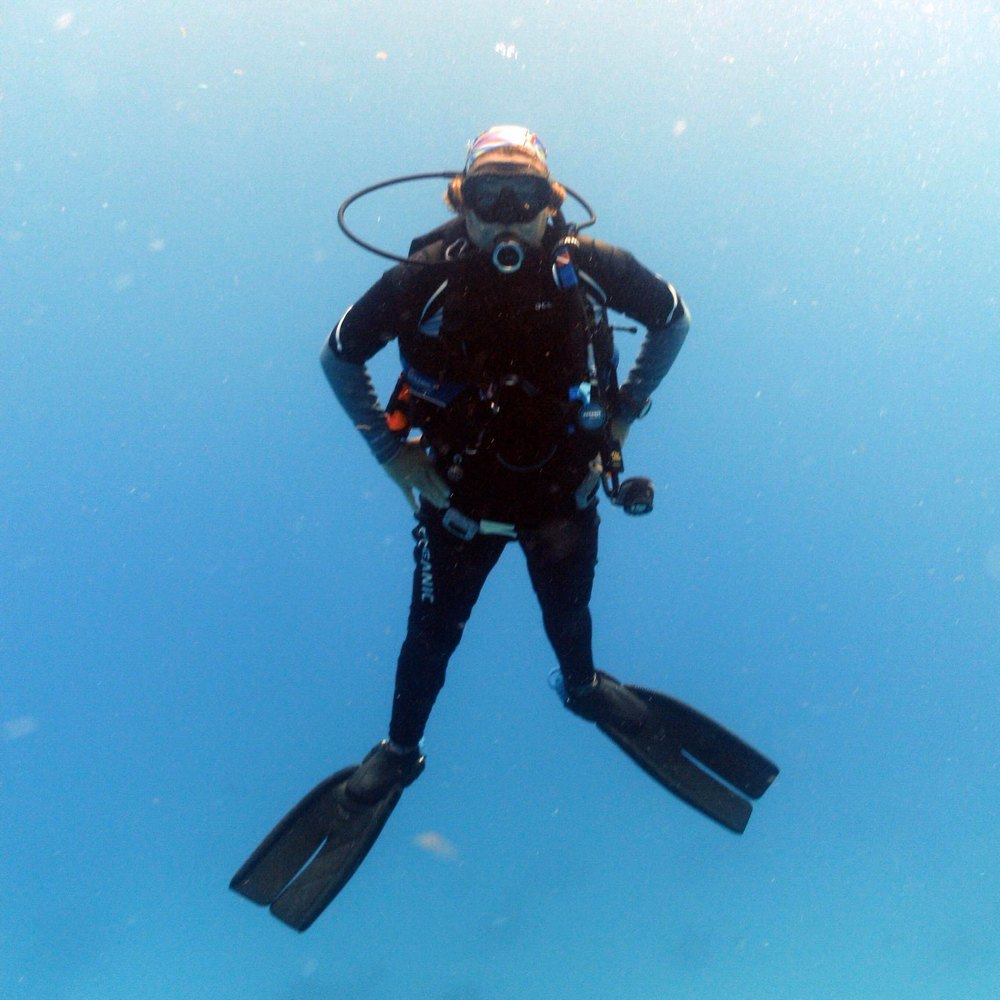 Meet your Posher, Anne